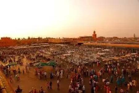 Desert tour or old city tour in Morocco