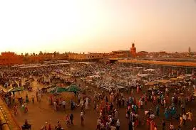 Desert tour or old city tour in Morocco