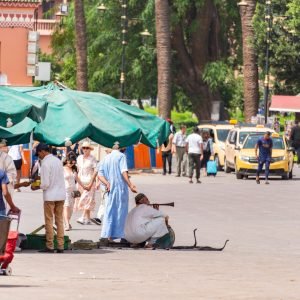 pexels diego f parra 33199 25489943